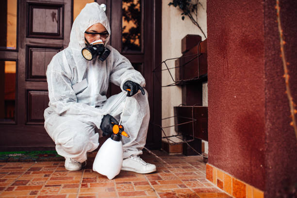 Reliable Bed Bug Control contractor in Middletown, OH by Nex Pest Control